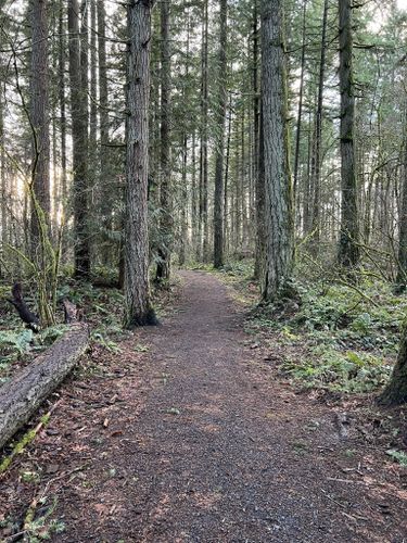 Best Hikes and Trails in Mccormick Park | AllTrails