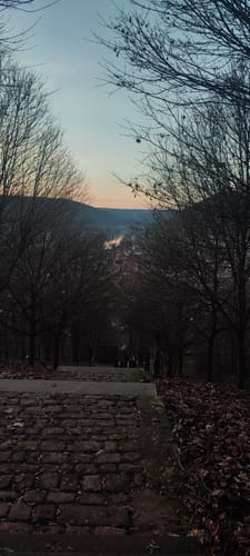 Großheubach Rundwanderweg 3