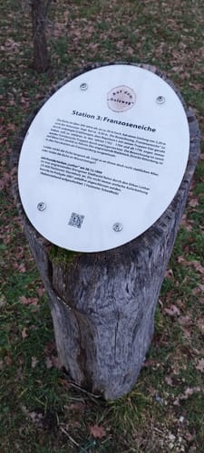 Auf dem Kirnberg