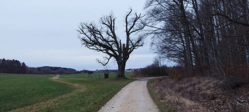 Auf dem Kirnberg
