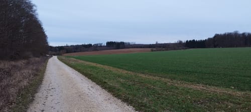 Auf dem Kirnberg