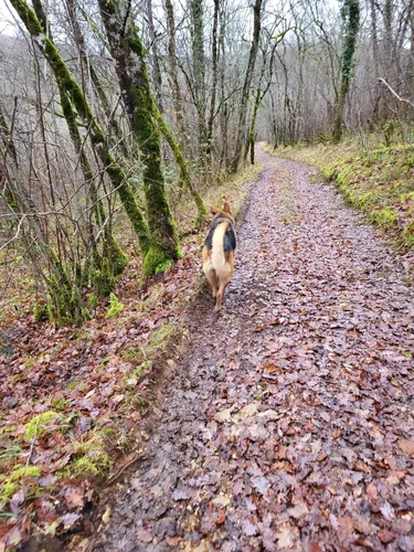 Best Hikes and Trails in La Dornac AllTrails