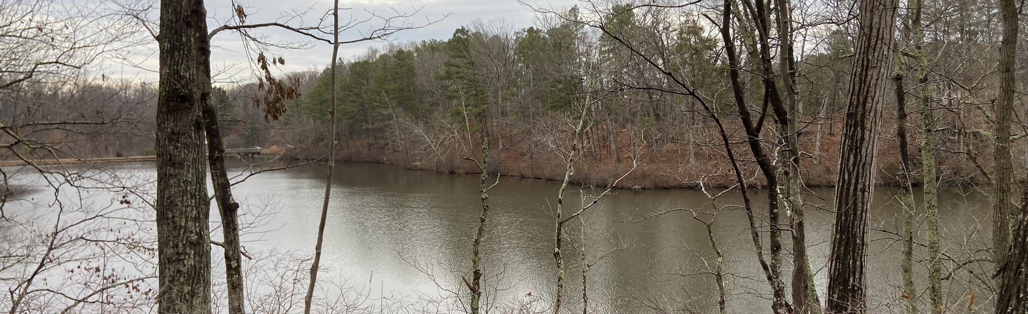 Wilcox Lake via Red Boardwalk Trail, Virginia 11 Reviews, Map AllTrails