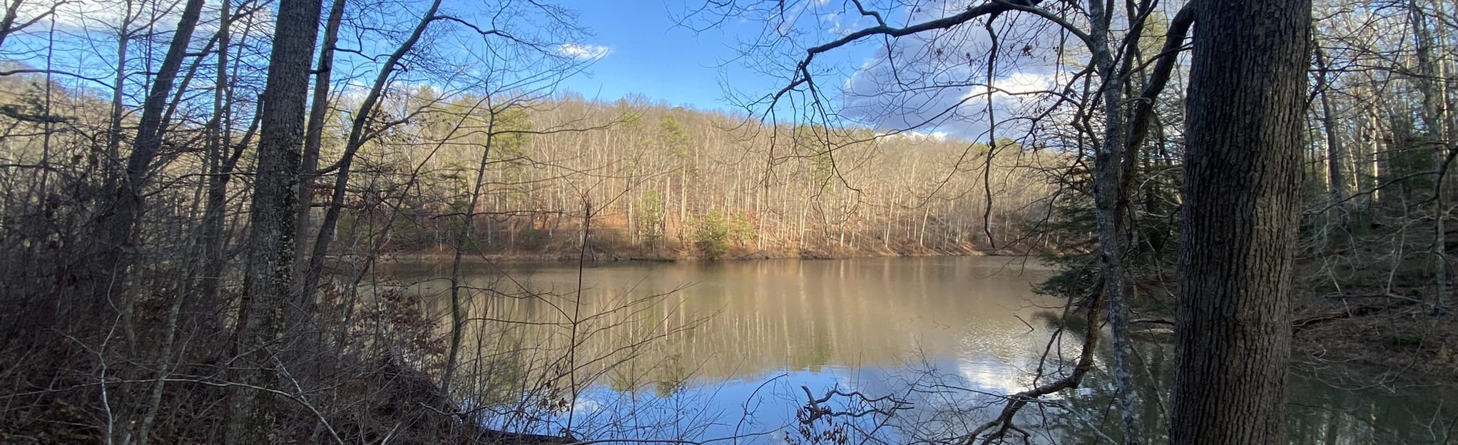 Copperhead Fire Tower and Bear Lake, Ohio 77 Reviews, Map AllTrails