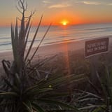 Ormond Scenic Loop and Trail, Florida - 51 Reviews, Map | AllTrails