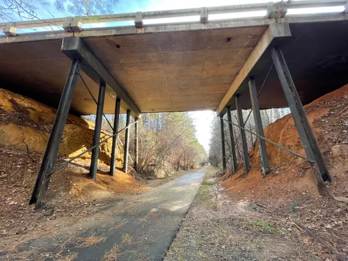 Southern Serenity: 5 Scenic Hiking Trails in Greenwood – South Carolina
