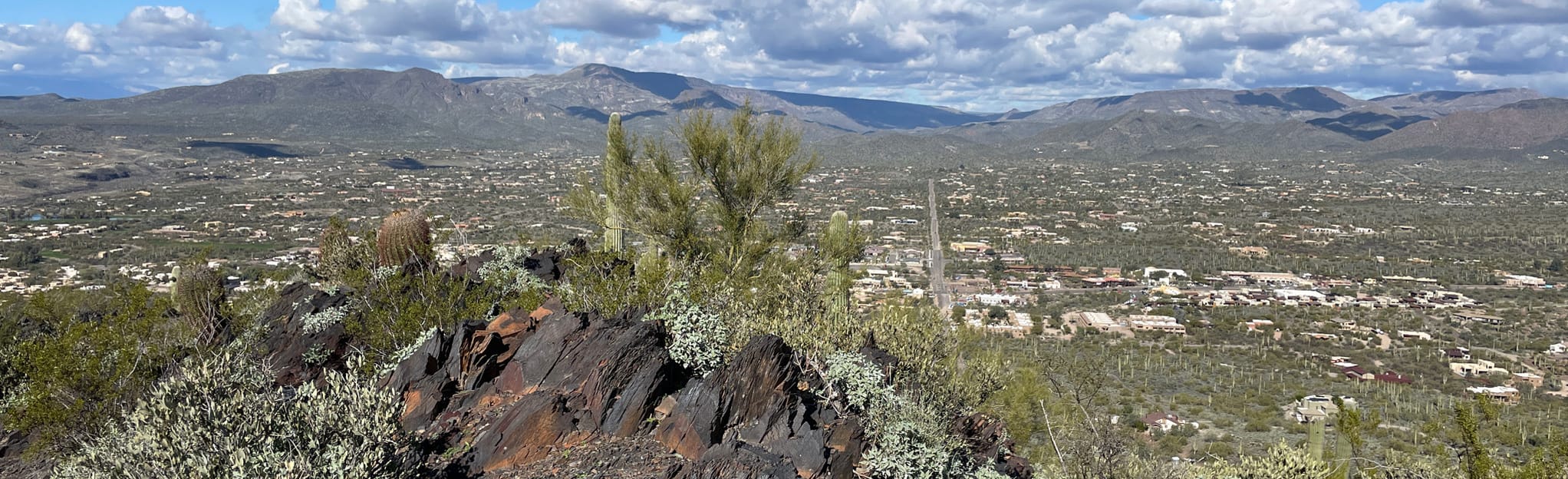 Black Mountain Trail, Arizona 3,977 Reviews, Map AllTrails