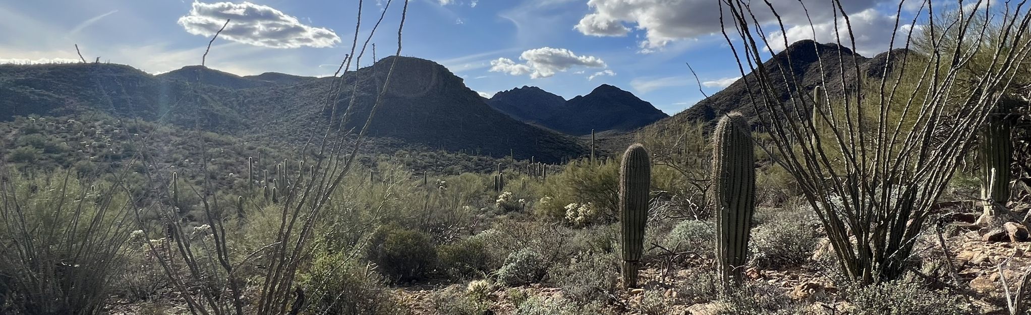 Hidden Canyon Bowen Loop Arizona 1570 Reviews Map Alltrails 9161