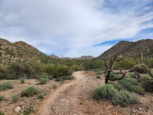 2023 Best 10 Trails and Hikes in Queen Creek | AllTrails