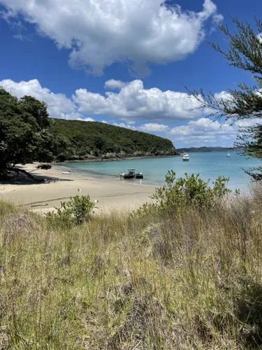 Northland & Bay of Islands, Walking & hiking in New Zealand