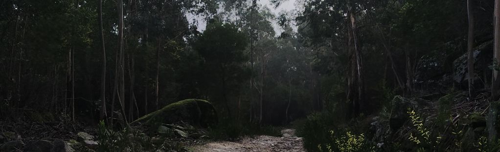 As melhores trilhas em Perre, Viana do Castelo (Portugal)