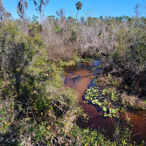 Best Hikes and Trails in Tiger Creek Preserve AllTrails