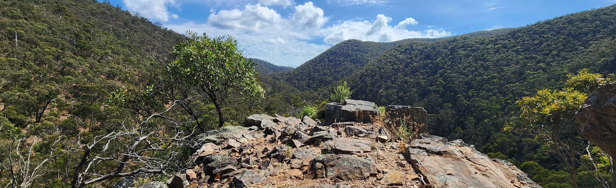 Watties Gully Loop: 14 Reviews, 82 Photos, Map - Victoria, Australia ...