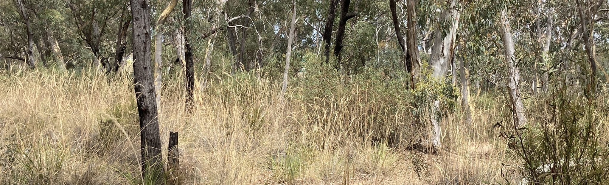 Bruce Ridge Outer Loop, Australian Capital Territory, Australia - 34 ...