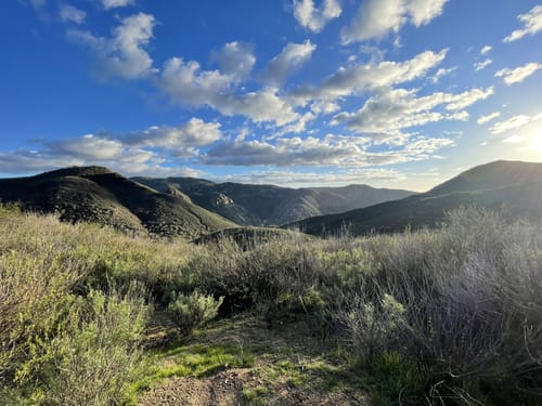 2023 Best 10 Trails in Cleveland National Forest | AllTrails