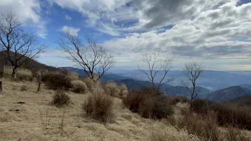 10 Best River Trails in TanzawaOyama QuasiNational Park AllTrails