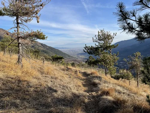 2023 Best Views Trails in Val della Torre AllTrails