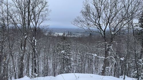 Best Hikes and Trails in Brule River State Forest | AllTrails