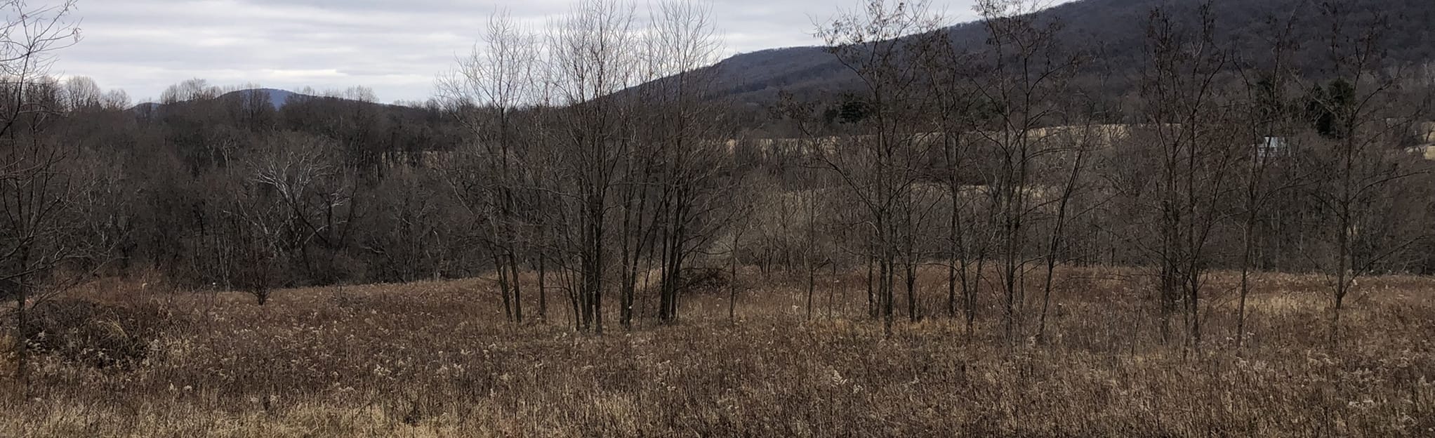 Farmstead Loop and Piney Run Spur | Map, Guide - Virginia | AllTrails