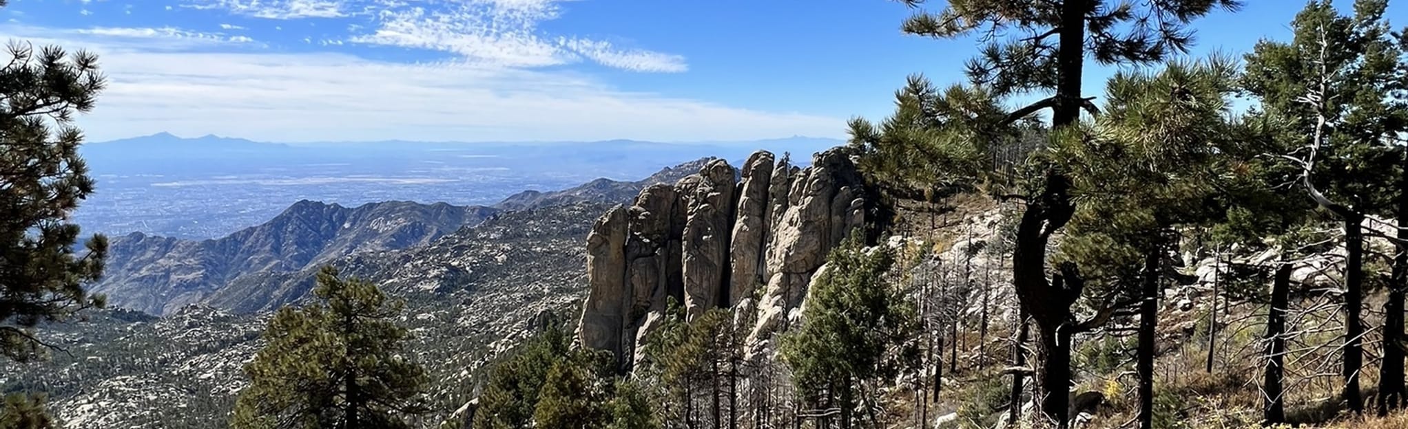 Mount Lemmon, Wilderness of Rocks, and Aspen Trails Loop: 117 Reviews 