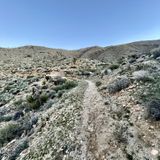 Grapevine Mountain via PCT, California - 61 Reviews, Map