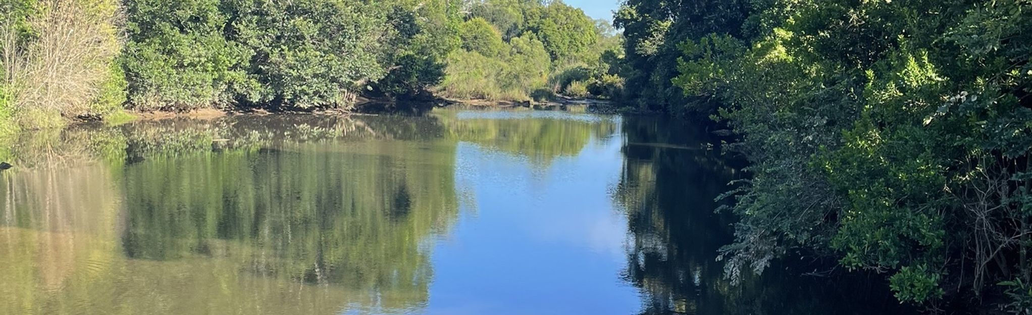 North Pine River Paddle at Petrie: 1 Reviews, Map - Queensland ...