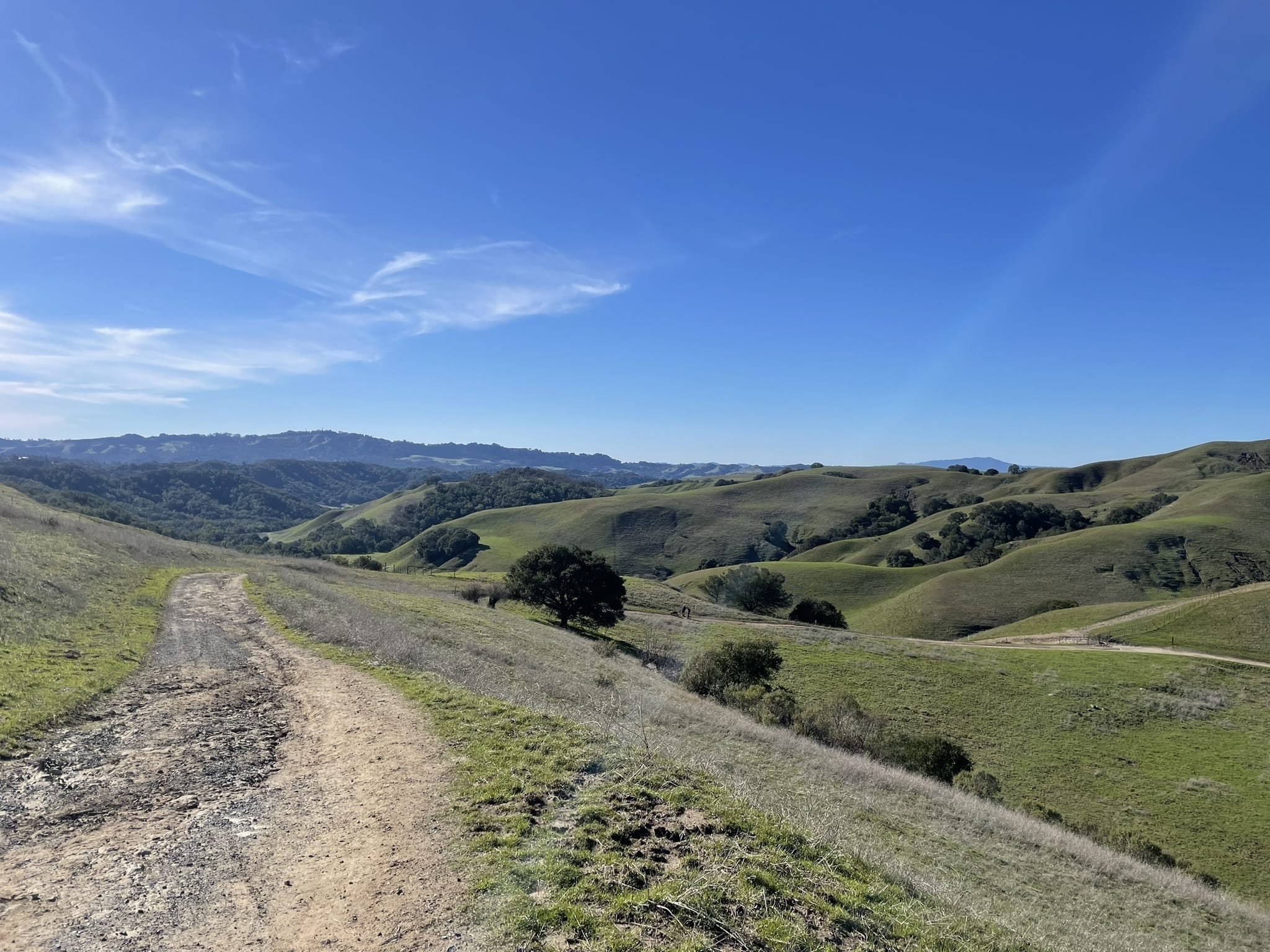 Briones regional best sale park mountain biking