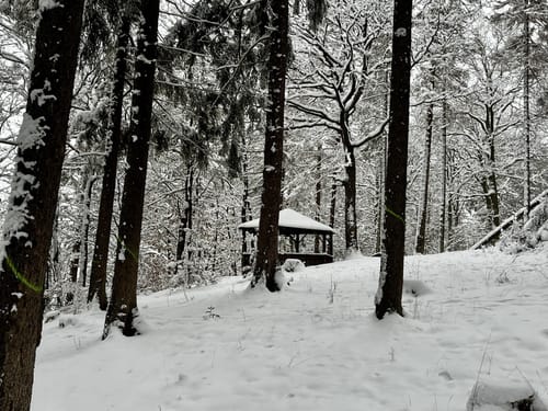 Kreuzweg und  De-Lassaulx Hütte