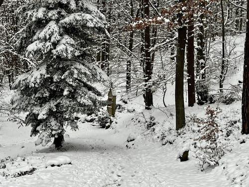 Kreuzweg und  De-Lassaulx Hütte
