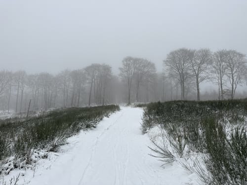Am Mäckingerbach nach Kuhfeld