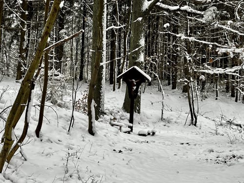 Kreuzweg und  De-Lassaulx Hütte