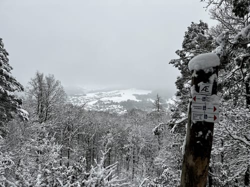 Kreuzweg und  De-Lassaulx Hütte