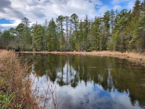 Best Hikes and Trails in Carolina Sandhills National Wildlife Refuge ...