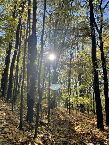 Windberg Rundweg
