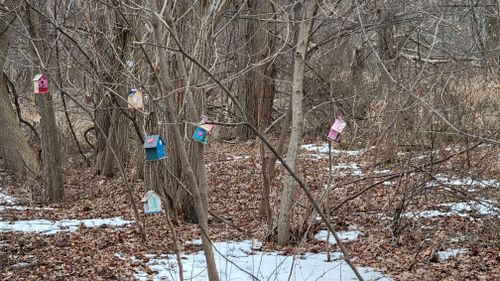 Photos of Turkey Creek Trail - Ontario, Canada