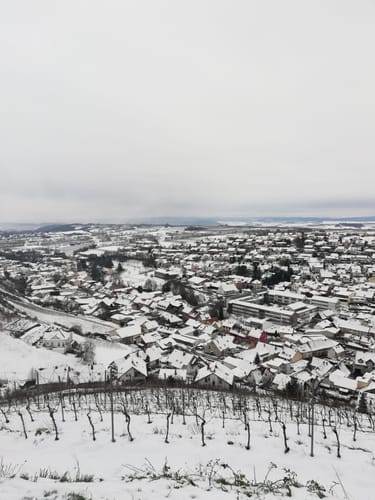 Stein, Wein & Farbe (VitalTour)