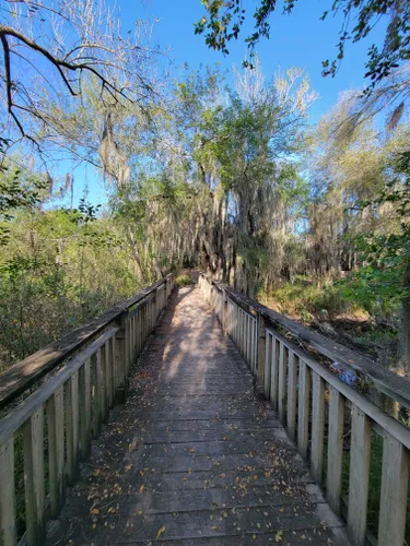 Best Hikes and Trails in Santa Ana National Wildlife Refuge | AllTrails