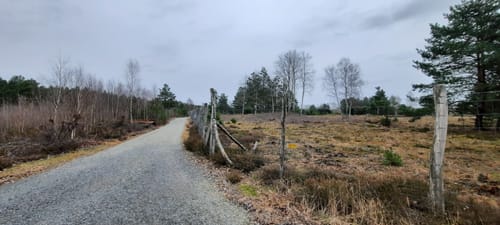 Schönower Heide: Wildwanderweg