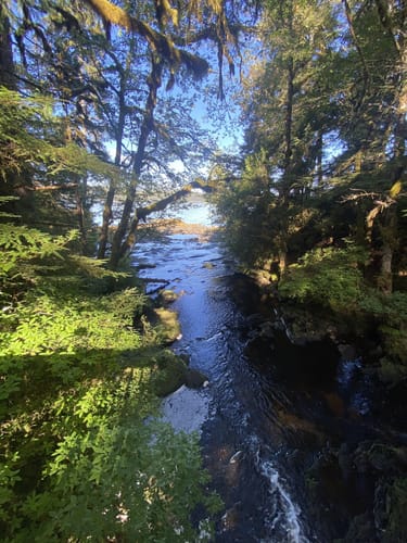 2023 Best 10 Trails and Hikes in Ketchikan | AllTrails