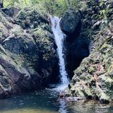 Ben's Bluff Trail, Stann Creek, Belize - 71 Reviews, Map | AllTrails