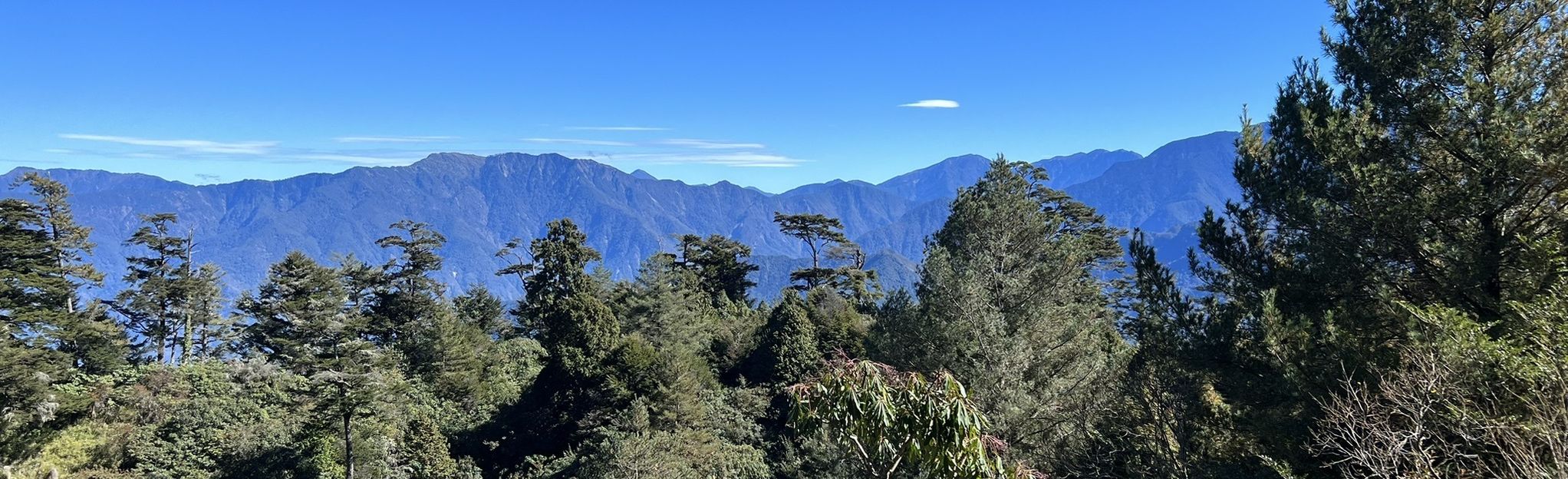 AllTrails | Alishan Tashan Trail: 43 Reviews, Map - Chiayi, Taiwan