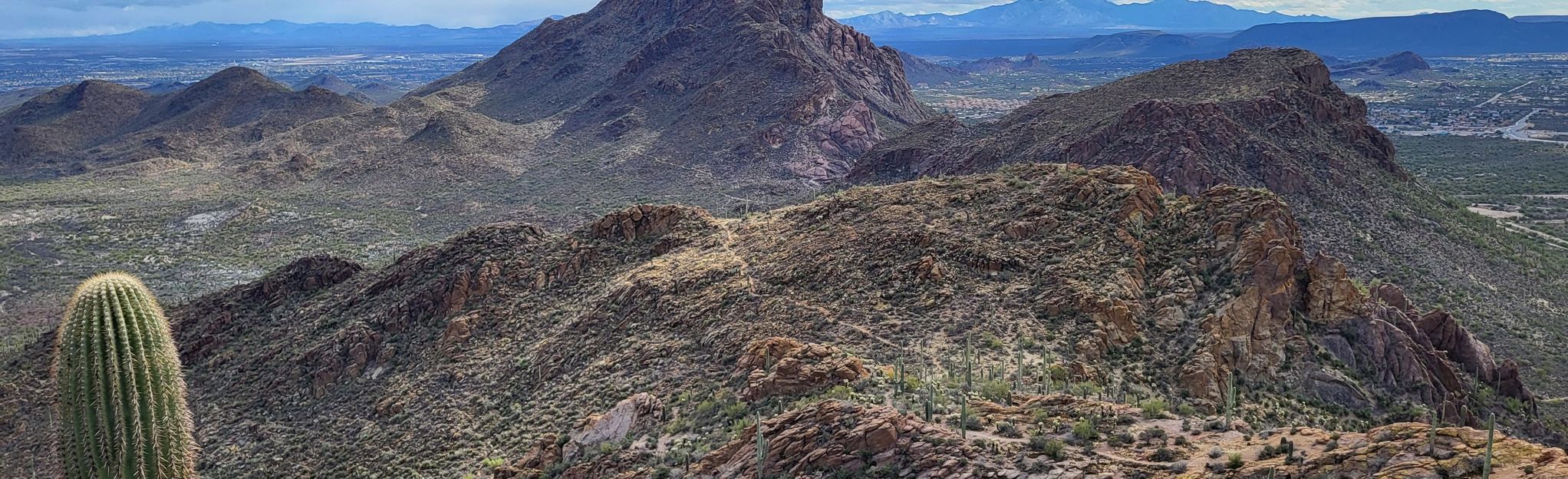 Bobcat Ridge And Starr Pass Trail Loop Arizona 763 Reviews Map Alltrails 4321