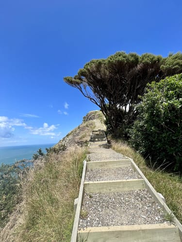 2023 Best Cave Trails in Waitakere Ranges Regional Park | AllTrails