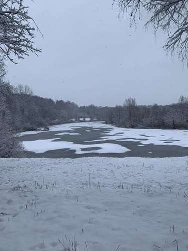 Tonwerkweiher-Wald Runde