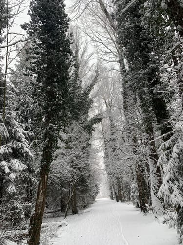 Tonwerkweiher-Wald Runde