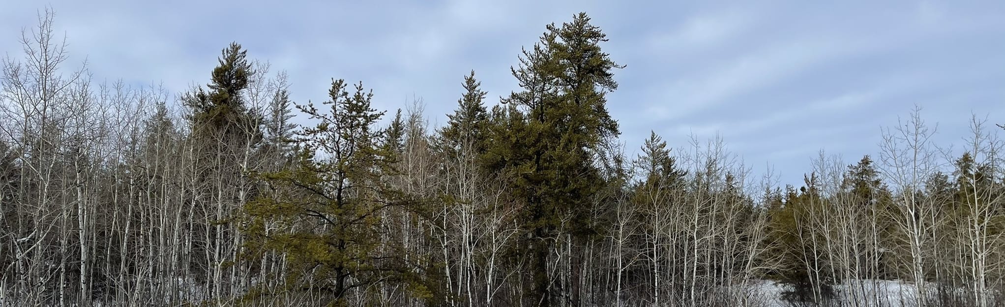 Redwater West Loop, Alberta, Canada 18 Reviews, Map AllTrails