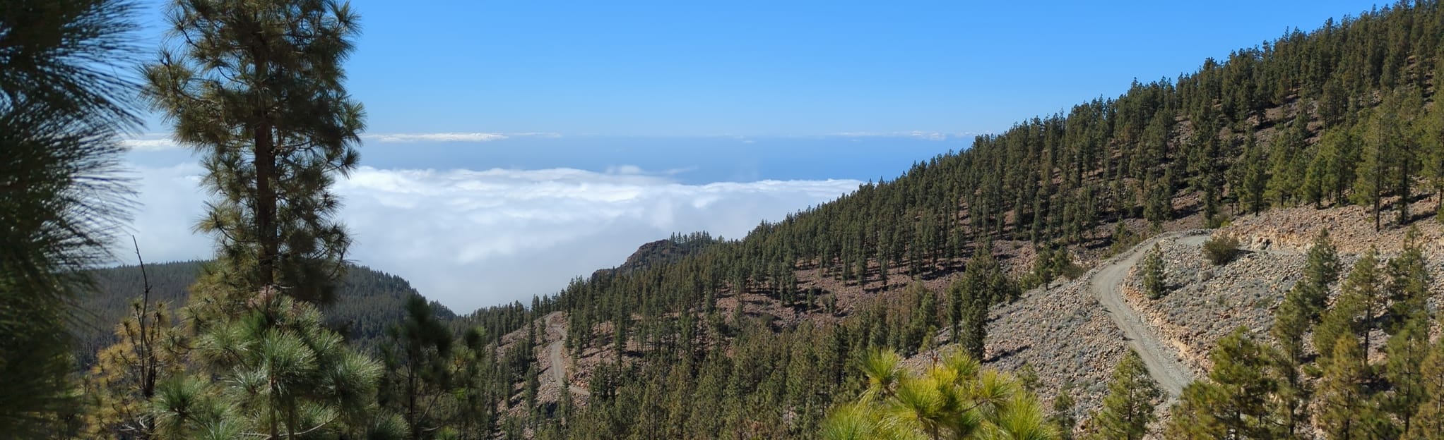 Mirador de las Narices del Teide Montaña el Cedro 80 Photos Ténérife, Espagne Randonnée