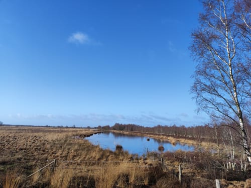 Meerstalblok Bargerveen