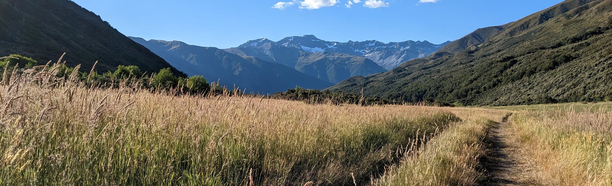 Fowlers Pass Track, Canterbury, New Zealand 6 Reviews, Map AllTrails