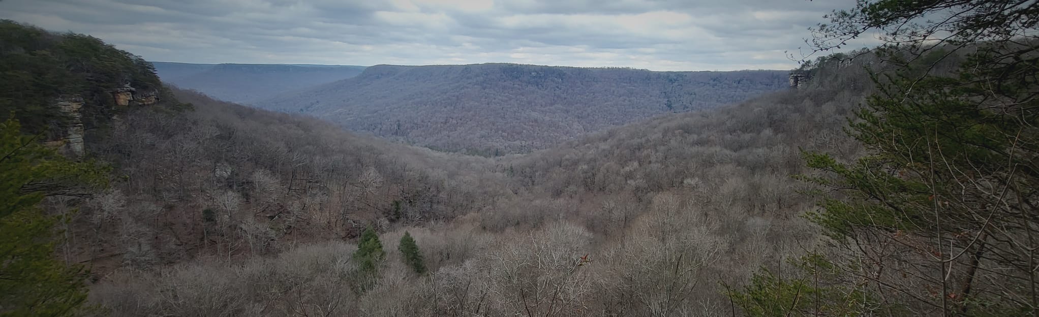 Saw Mill Campground via Stone Door, Big Creek Gulf, and Connector Trail